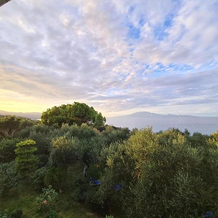Villa Agia Aikaterini อามูดี ภายนอก รูปภาพ