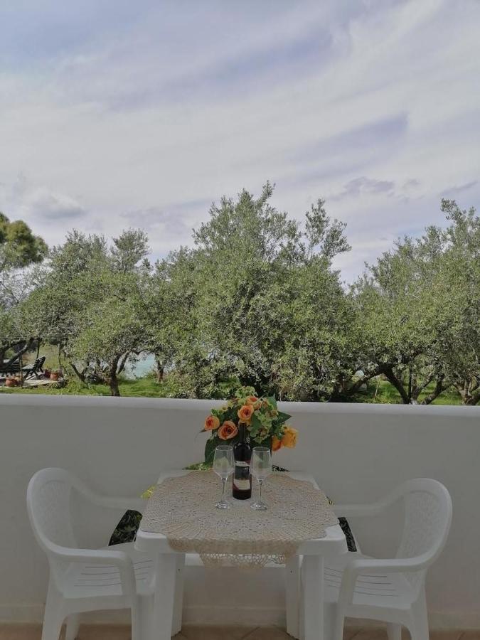 Villa Agia Aikaterini อามูดี ภายนอก รูปภาพ