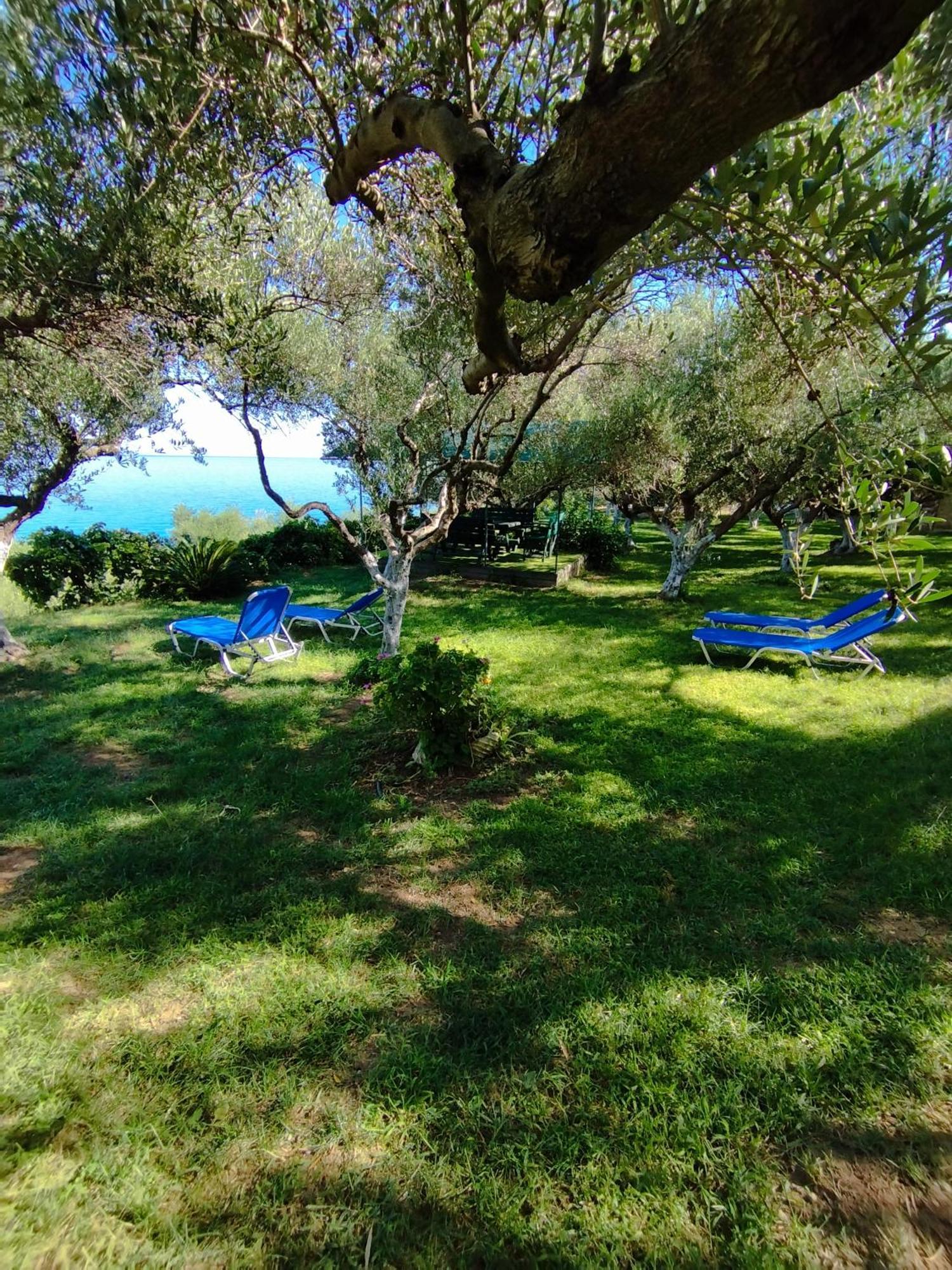 Villa Agia Aikaterini อามูดี ภายนอก รูปภาพ