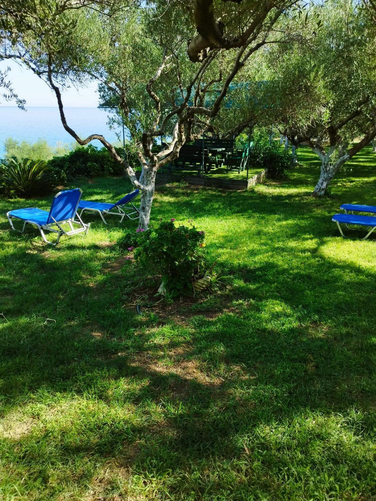 Villa Agia Aikaterini อามูดี ภายนอก รูปภาพ