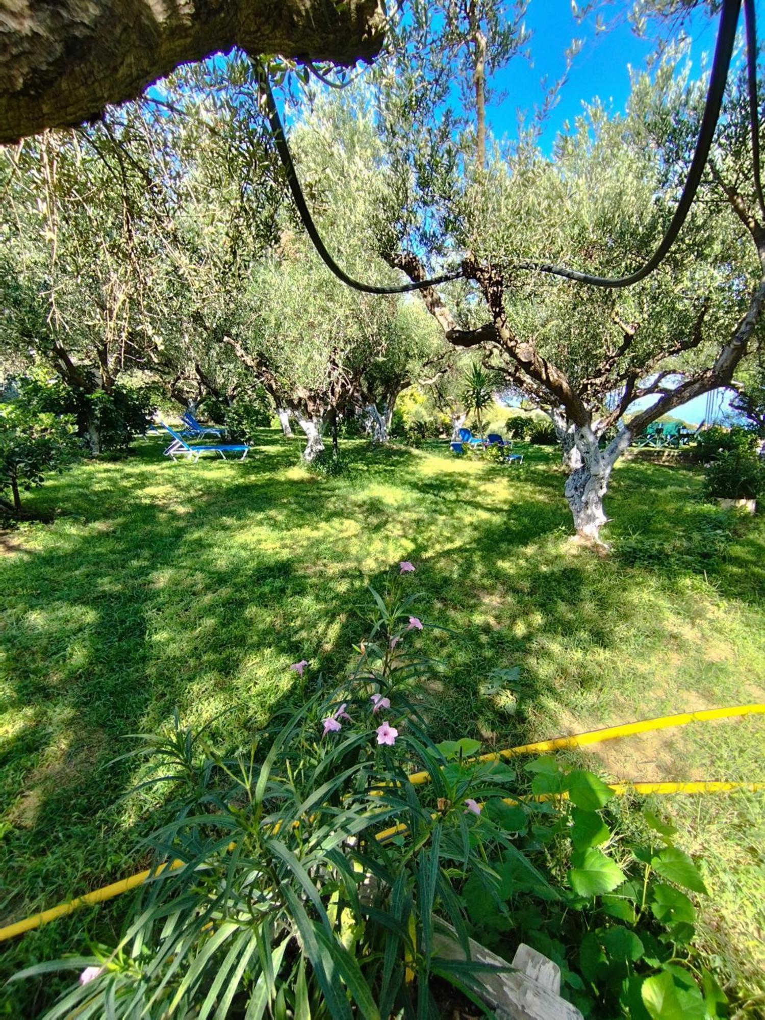 Villa Agia Aikaterini อามูดี ภายนอก รูปภาพ