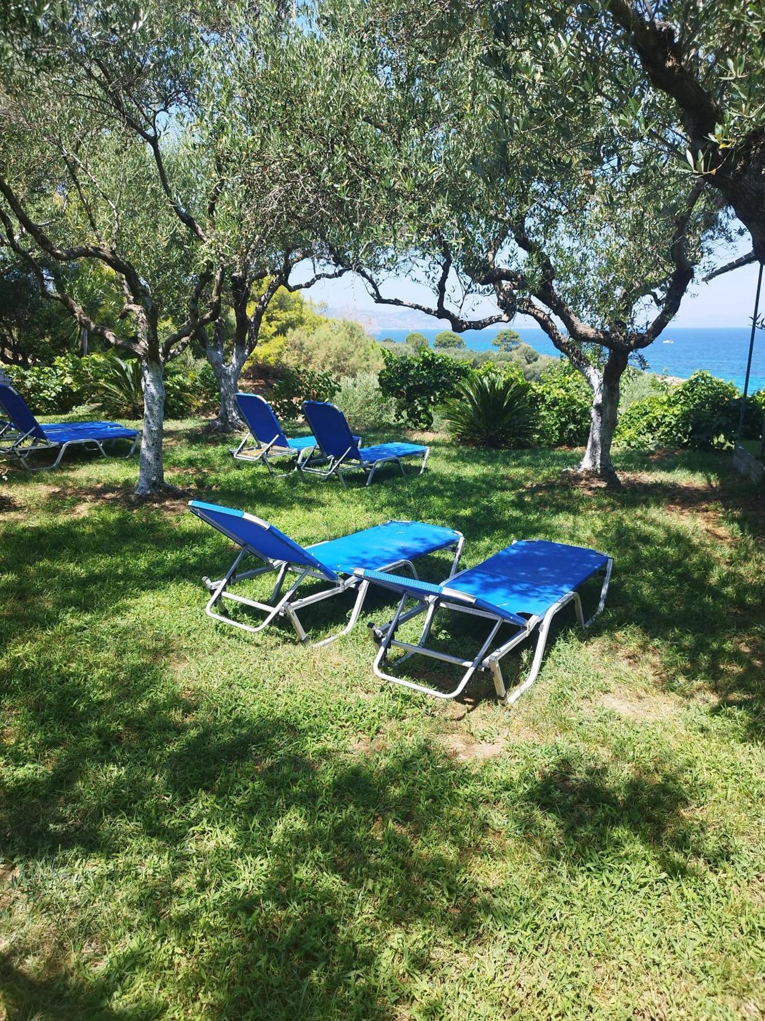 Villa Agia Aikaterini อามูดี ภายนอก รูปภาพ