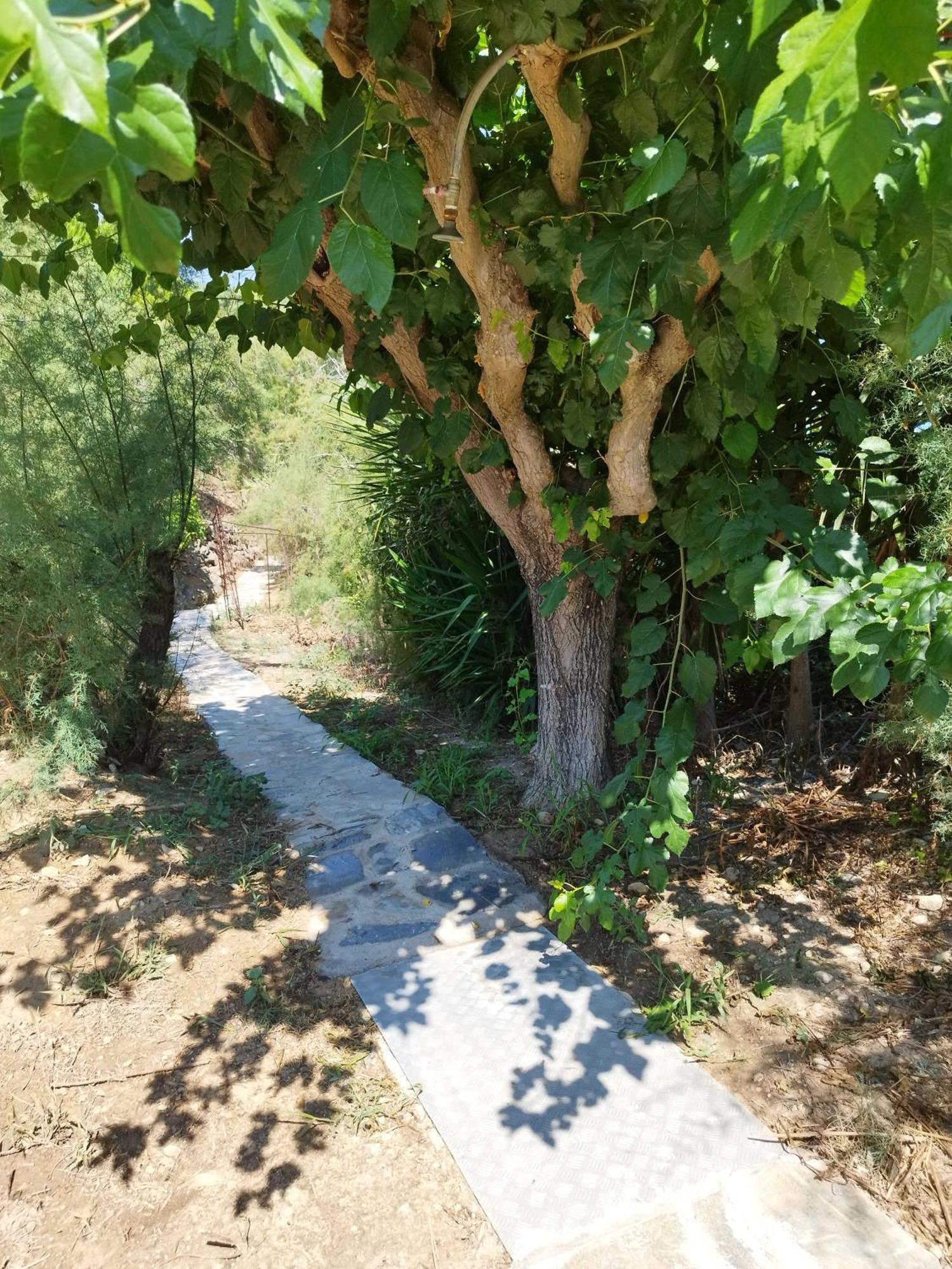 Villa Agia Aikaterini อามูดี ภายนอก รูปภาพ