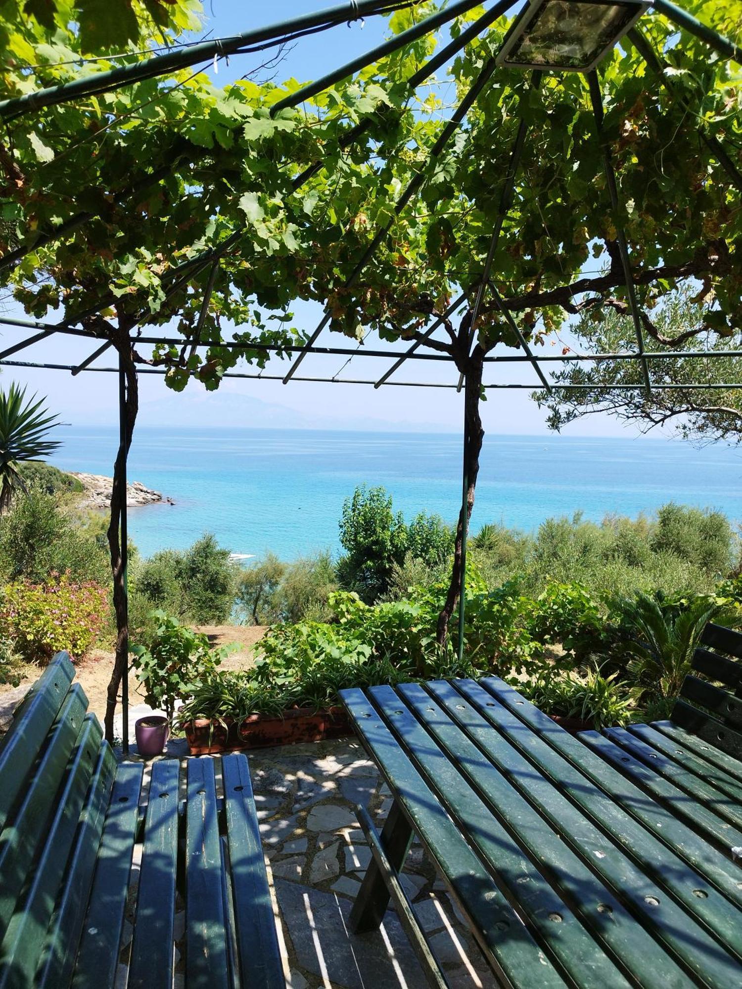 Villa Agia Aikaterini อามูดี ภายนอก รูปภาพ