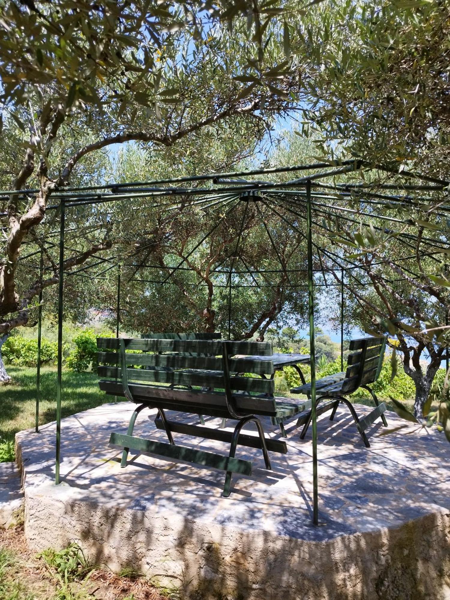 Villa Agia Aikaterini อามูดี ภายนอก รูปภาพ