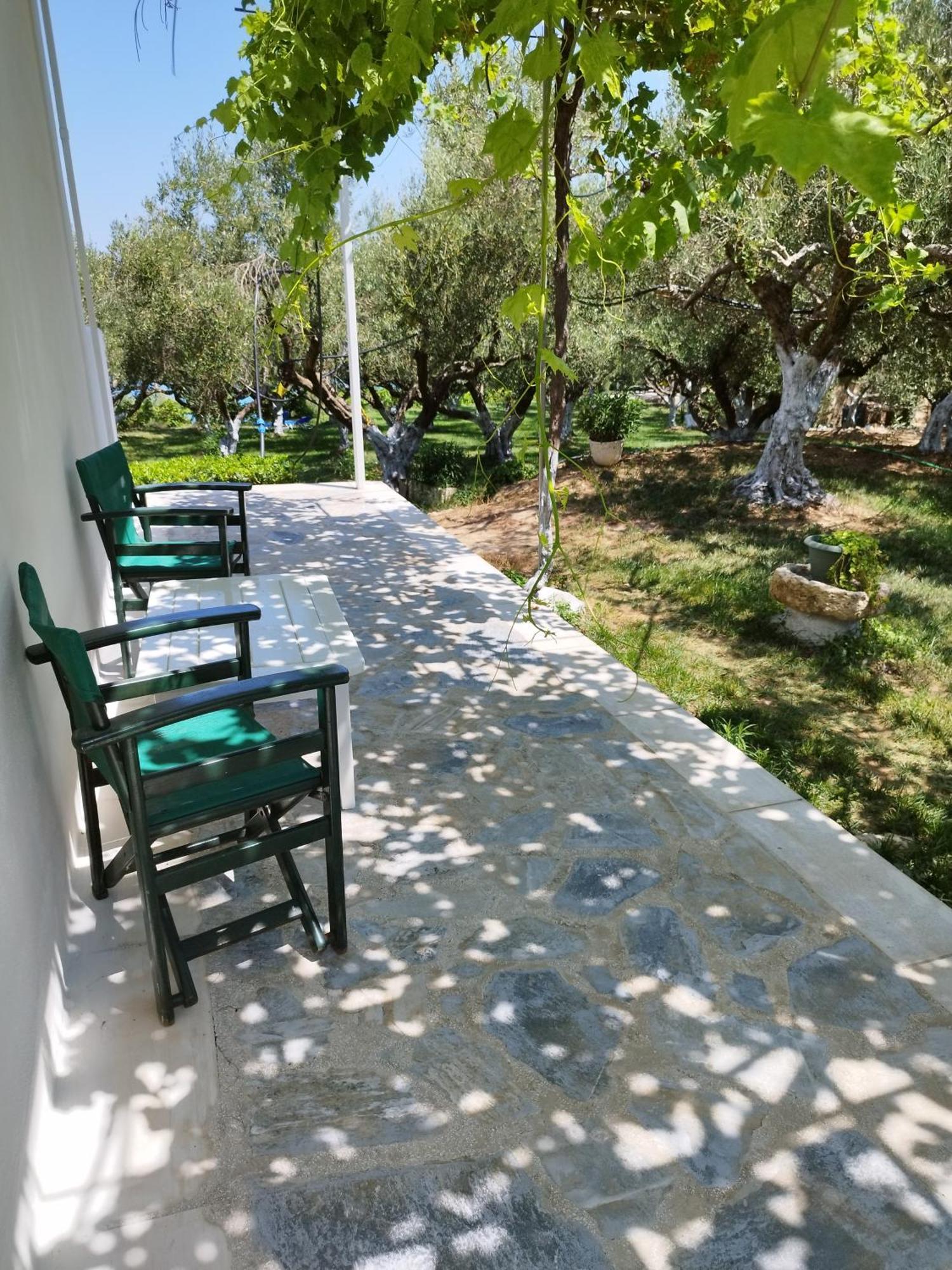 Villa Agia Aikaterini อามูดี ภายนอก รูปภาพ